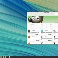 Article Icon